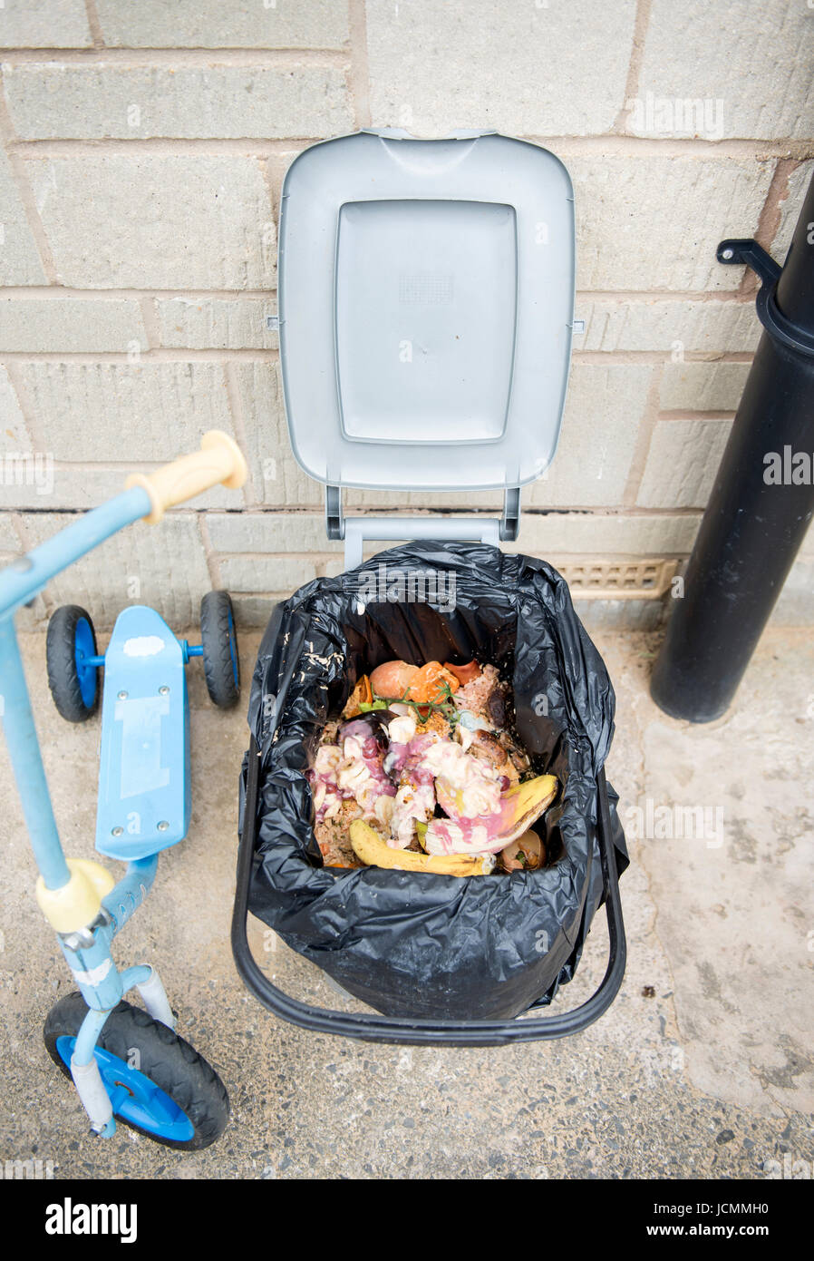 A domestic food waste container which has infested with maggots