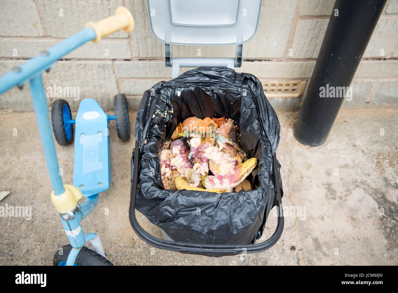 A domestic food waste container which has infested with maggots