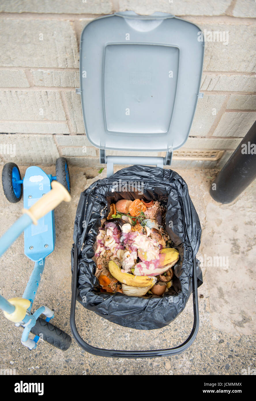 A domestic food waste container which has infested with maggots