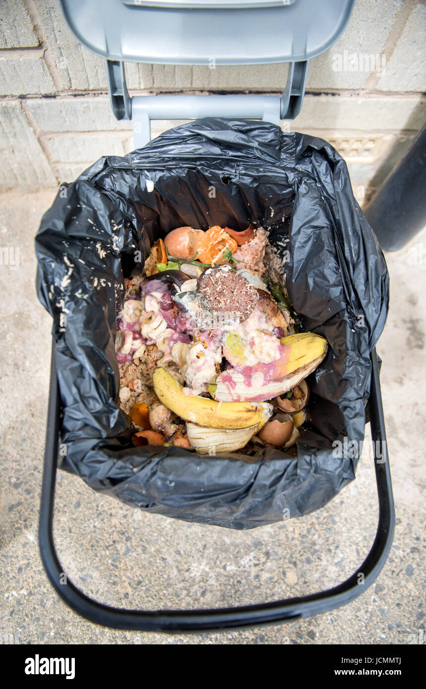 A domestic food waste container which has become infested with maggots UK Stock Photo