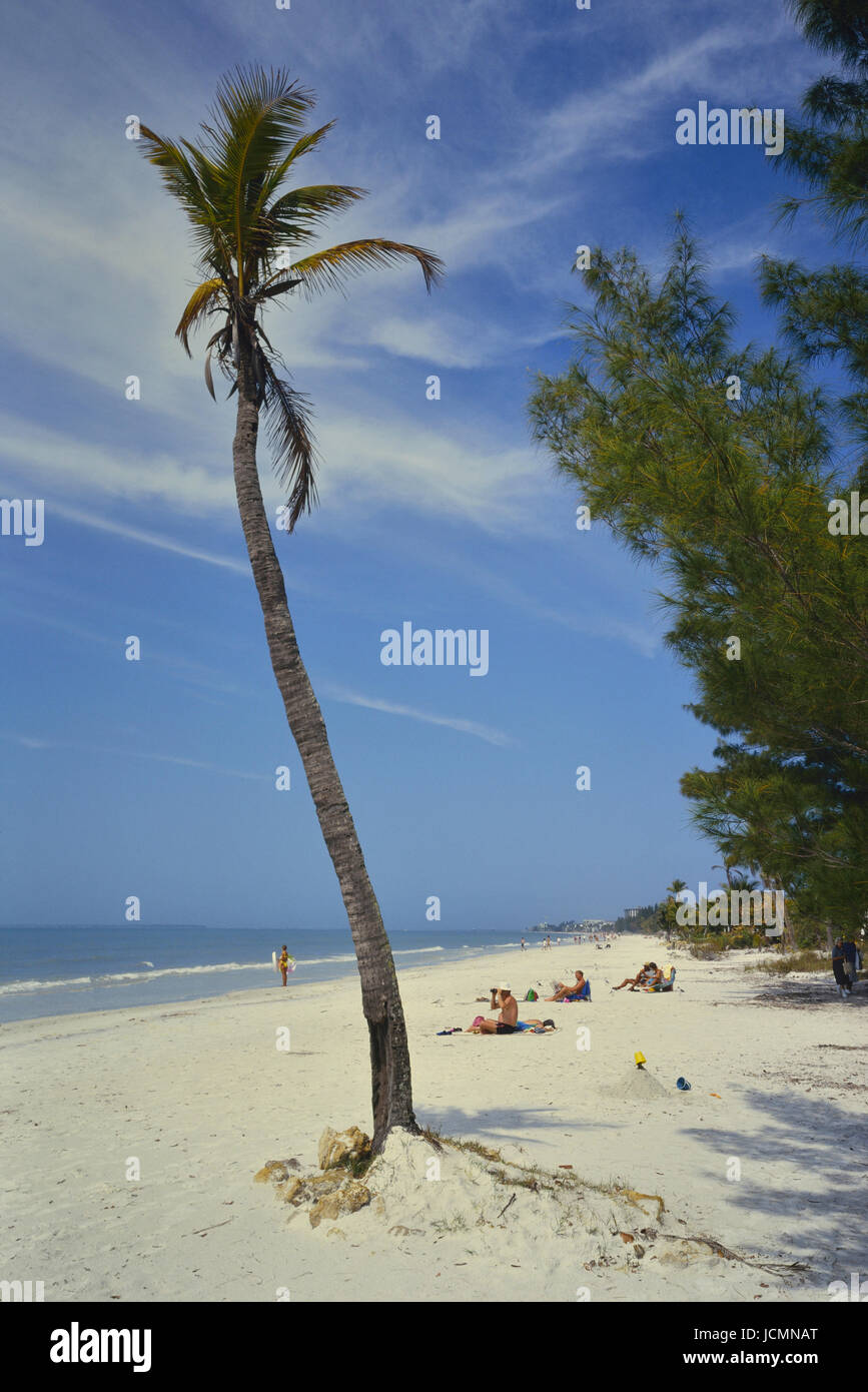 Fort Myers beach, Lee County, Florida, France, Europe Stock Photo