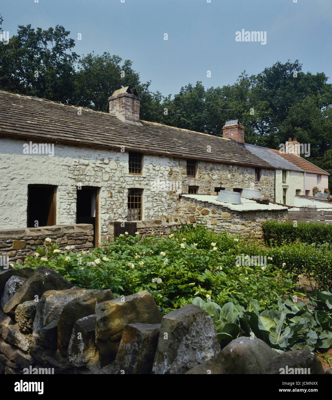 Rhyd-y-car terrace houses at St Fagans National Museum of History. Cardiff. Cymru. Wales Stock Photo