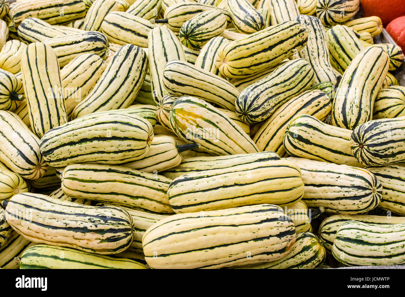 Delicate squash on display at the farmers market Stock Photo