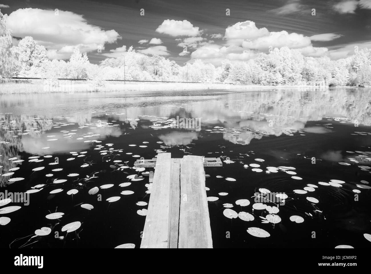 forest lake with water grass and old wooden boardwalk in hot summer day ...