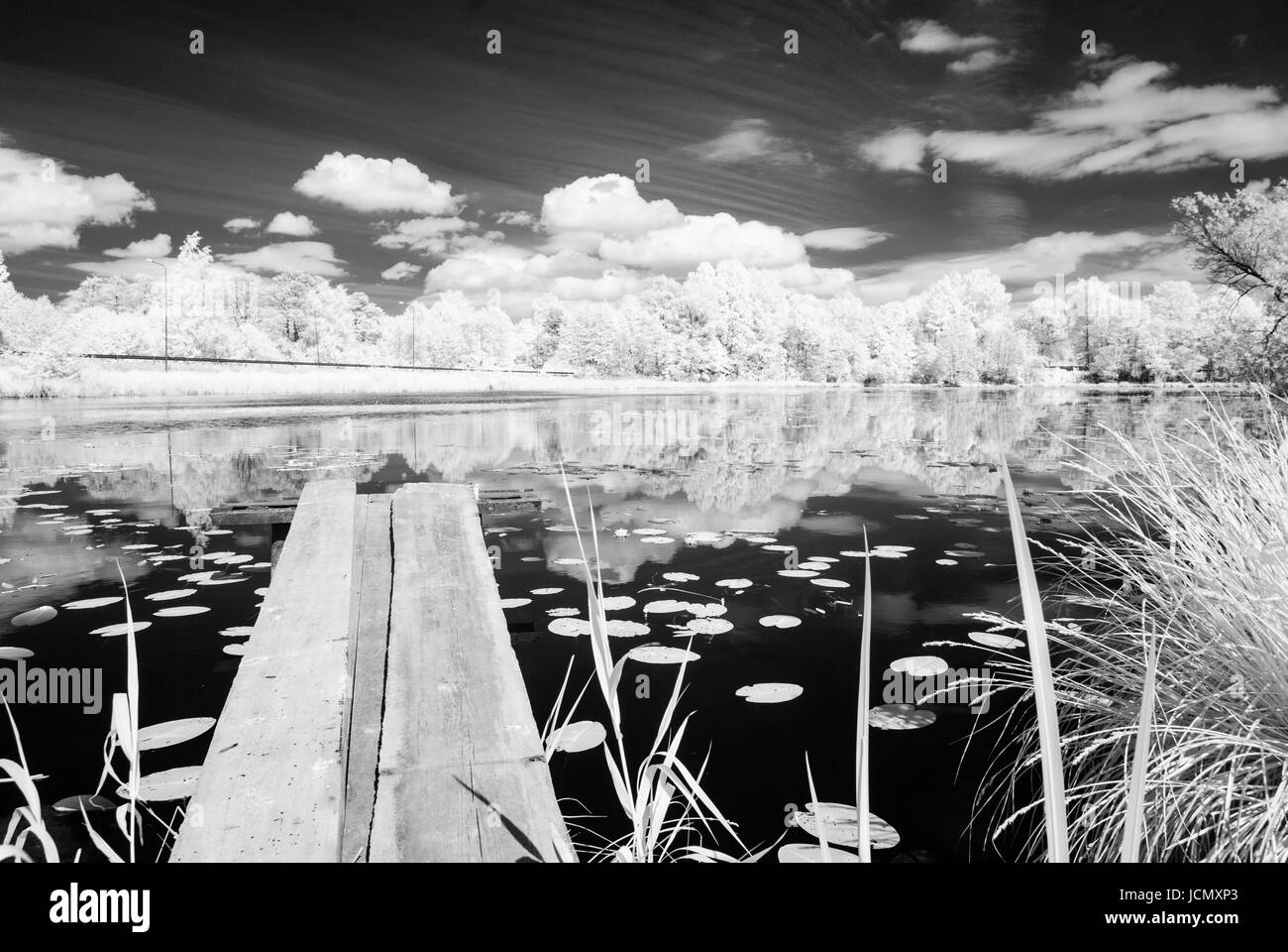 forest lake with water grass and old wooden boardwalk in hot summer day ...