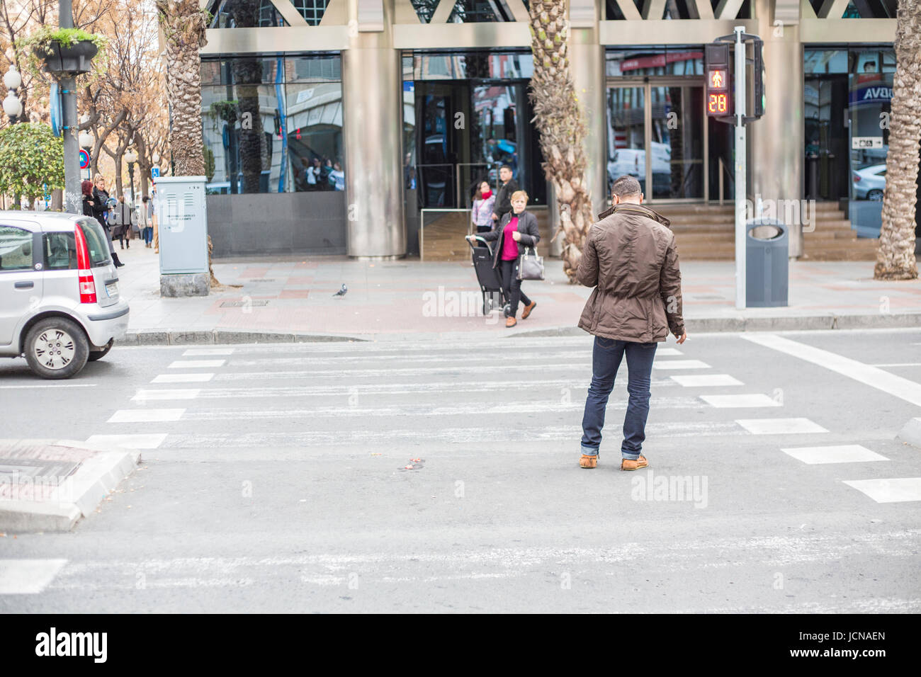 man looks at phone whilst crossing the street, Alicante in Spain Stock Photo