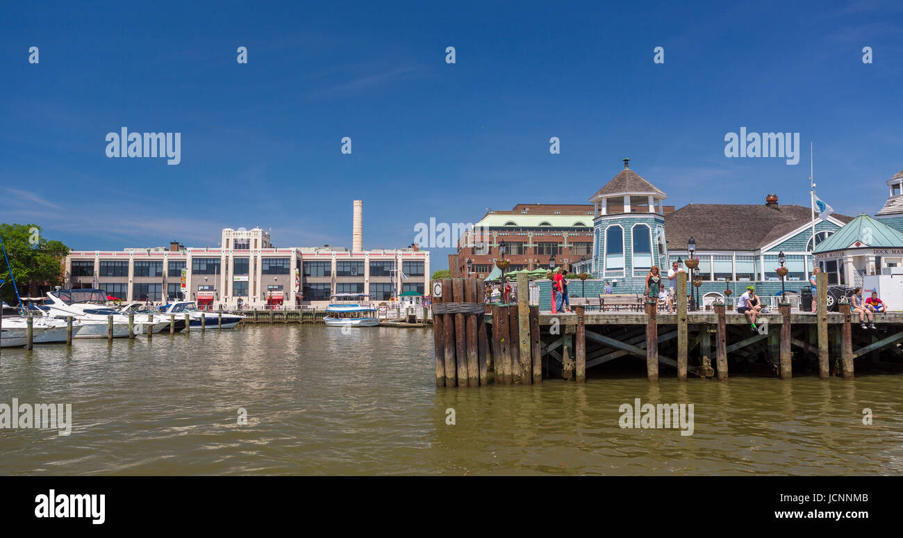 Alexandria visual data 5