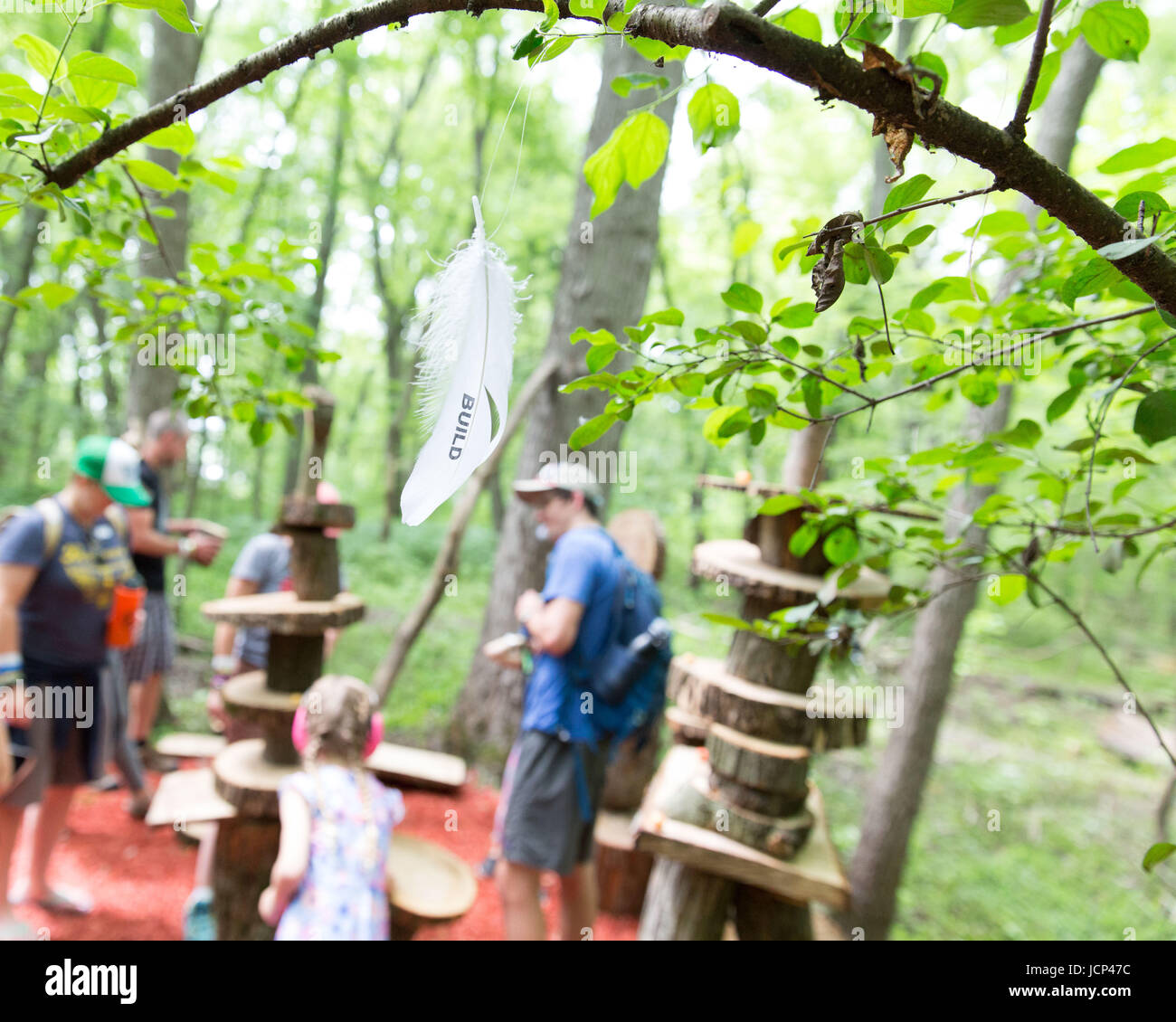 Eau Claire, Wisconsin, USA. 16th June, 2017. Music fans check out the