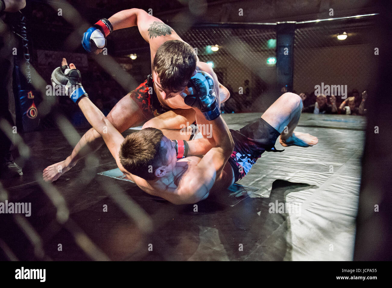 MMA Fight Stock Photo