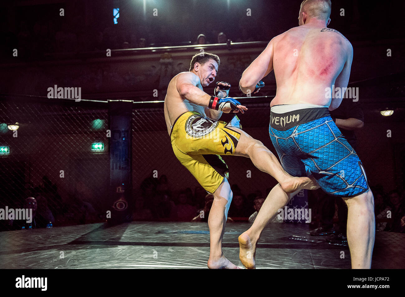Mma hires stock photography and images Alamy