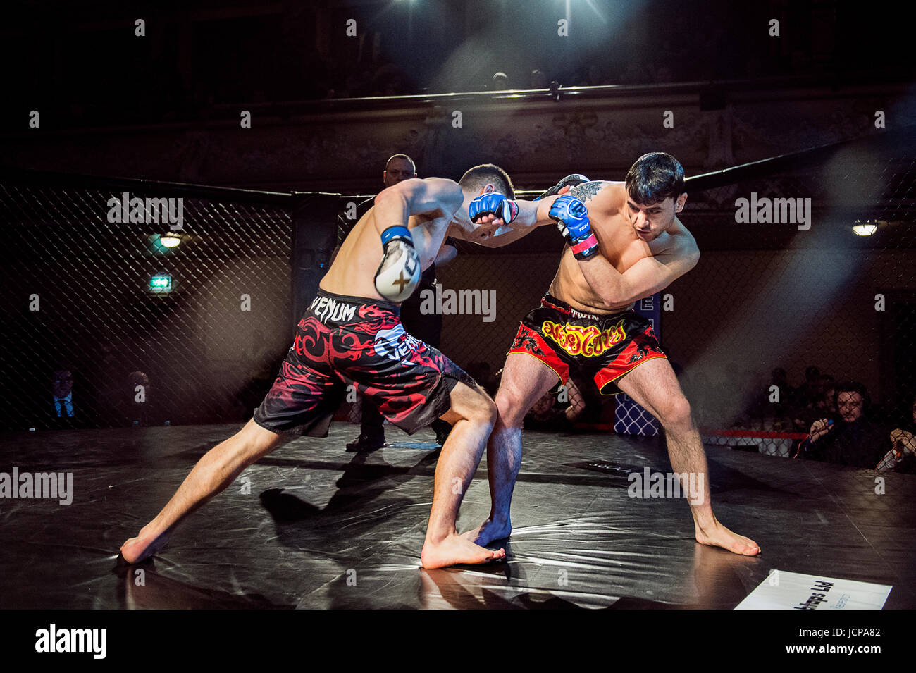 MMA Fight Stock Photo