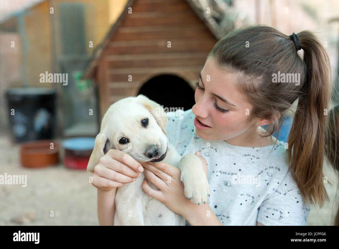 Portrait of a teenage girl with a golden retriever puppy Stock Photo ...