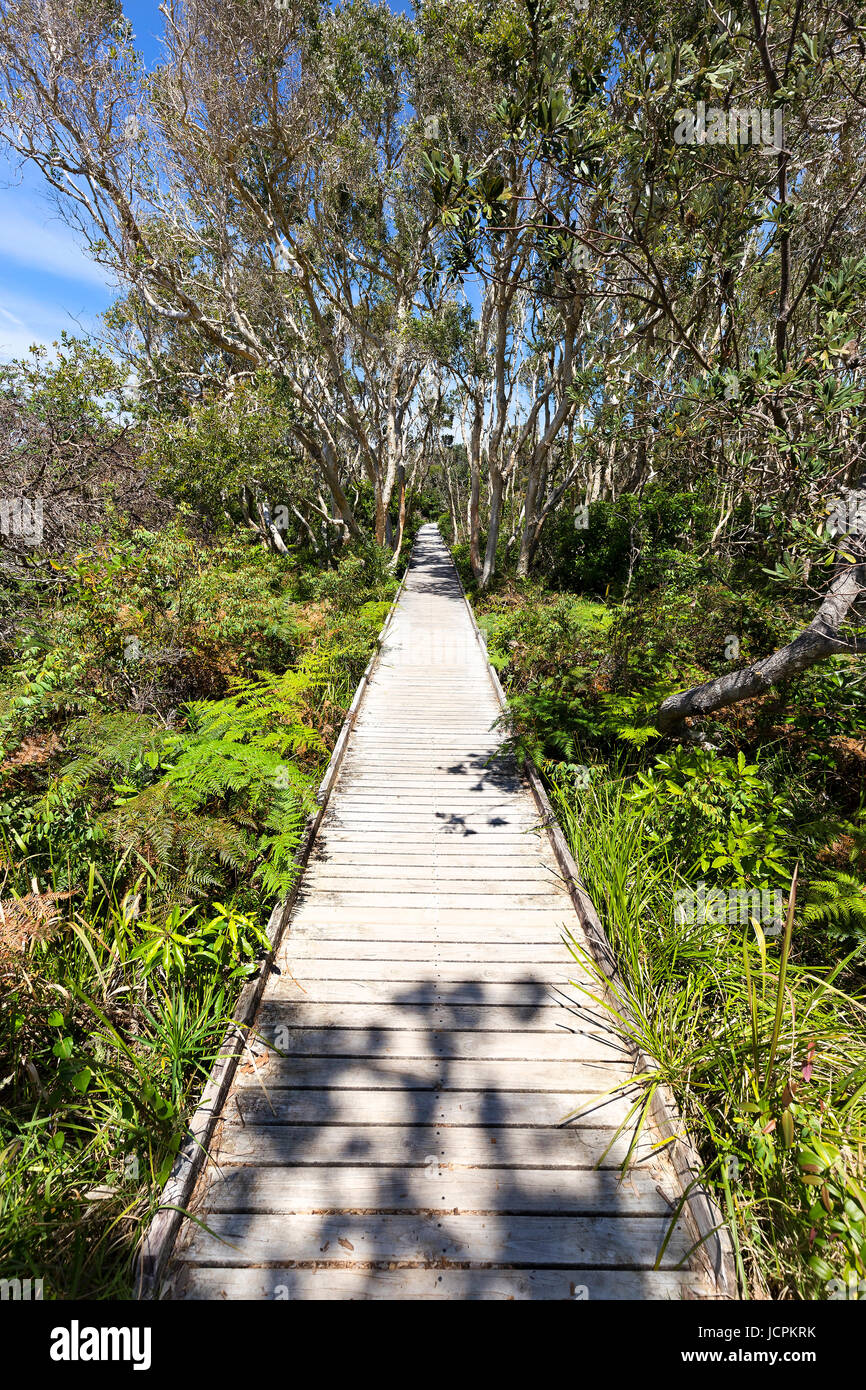 Visit south australia hi-res stock photography and images - Alamy