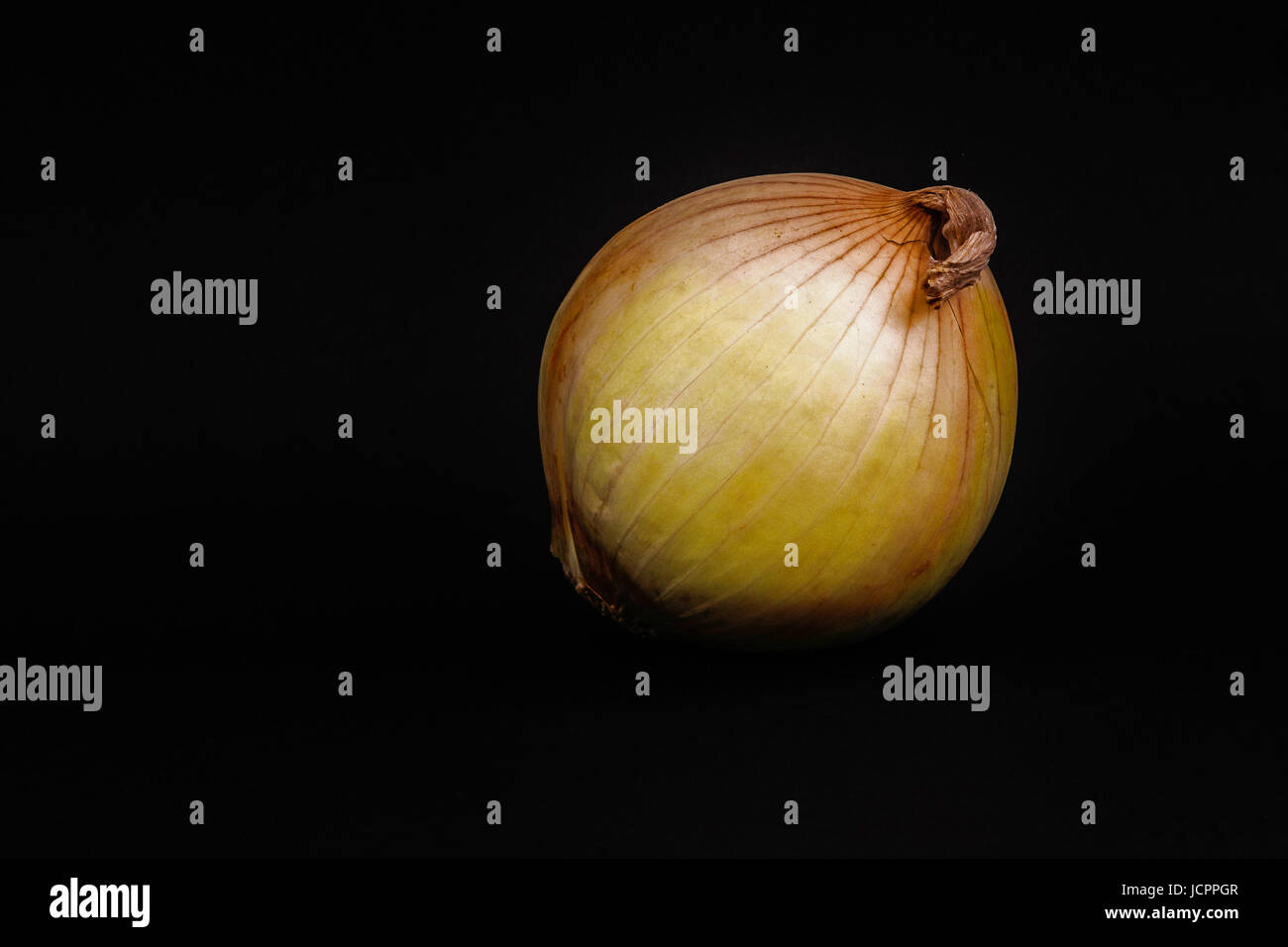 Onion on black. Stock Photo
