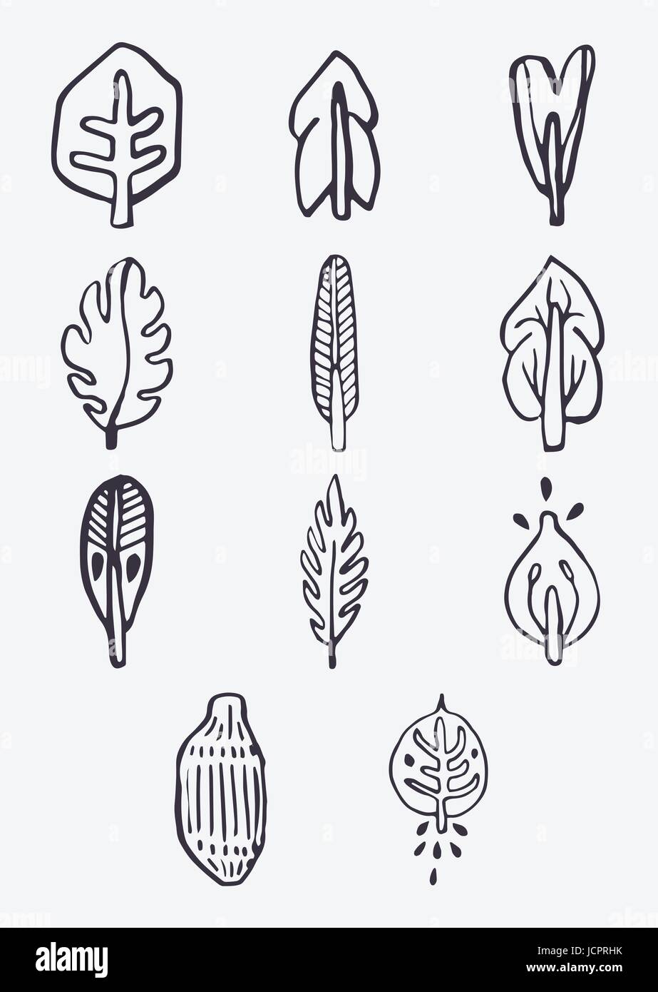 Vector icon set of leaves Stock Vector Image & Art - Alamy
