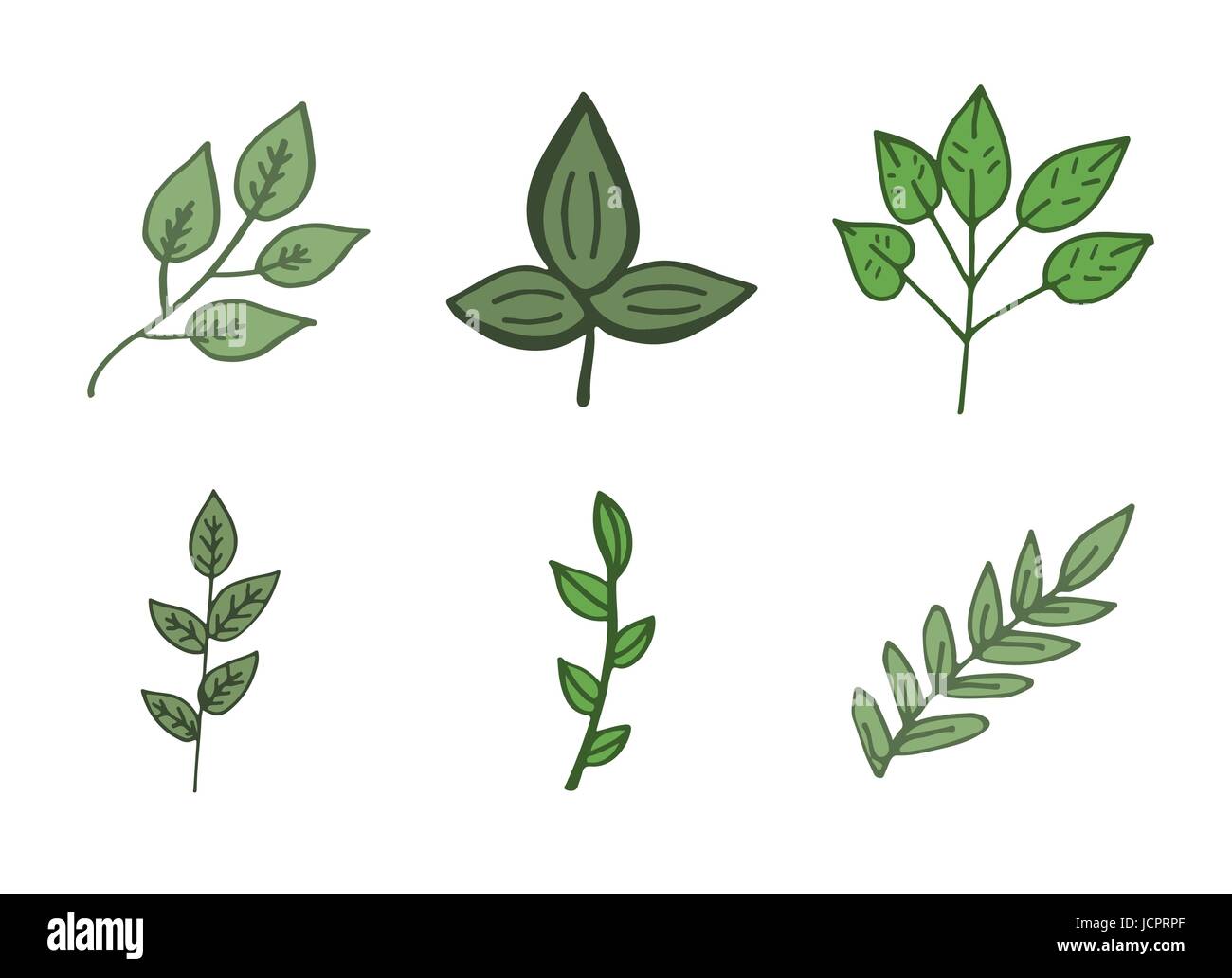 Vector icon of autumn leaves Stock Vector Image & Art - Alamy