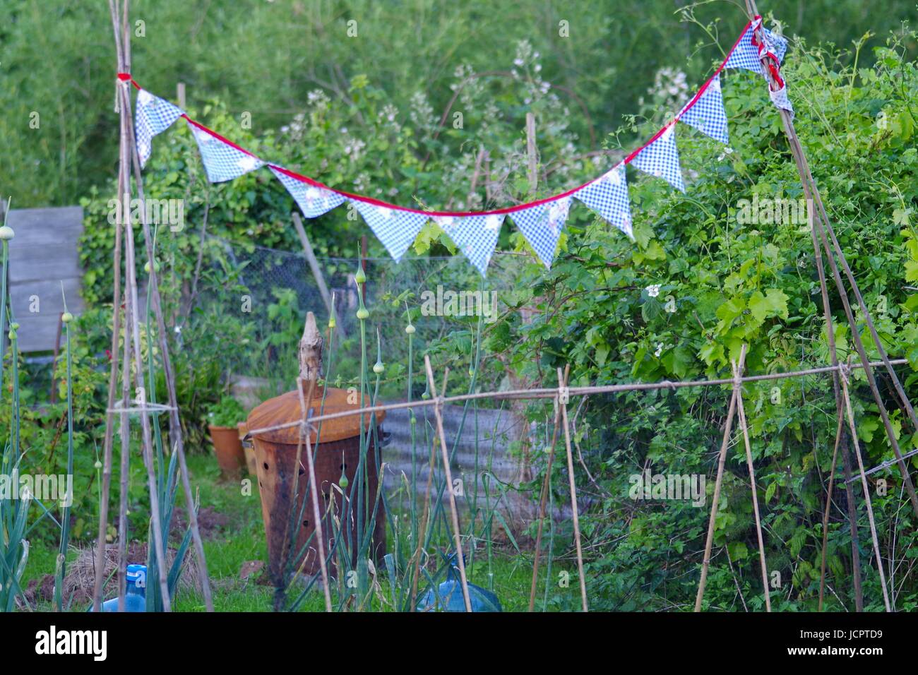 Bunting Flags over an Allotment Plot. Exeter, Devon, UK. June, 2017 Stock Photo Alamy