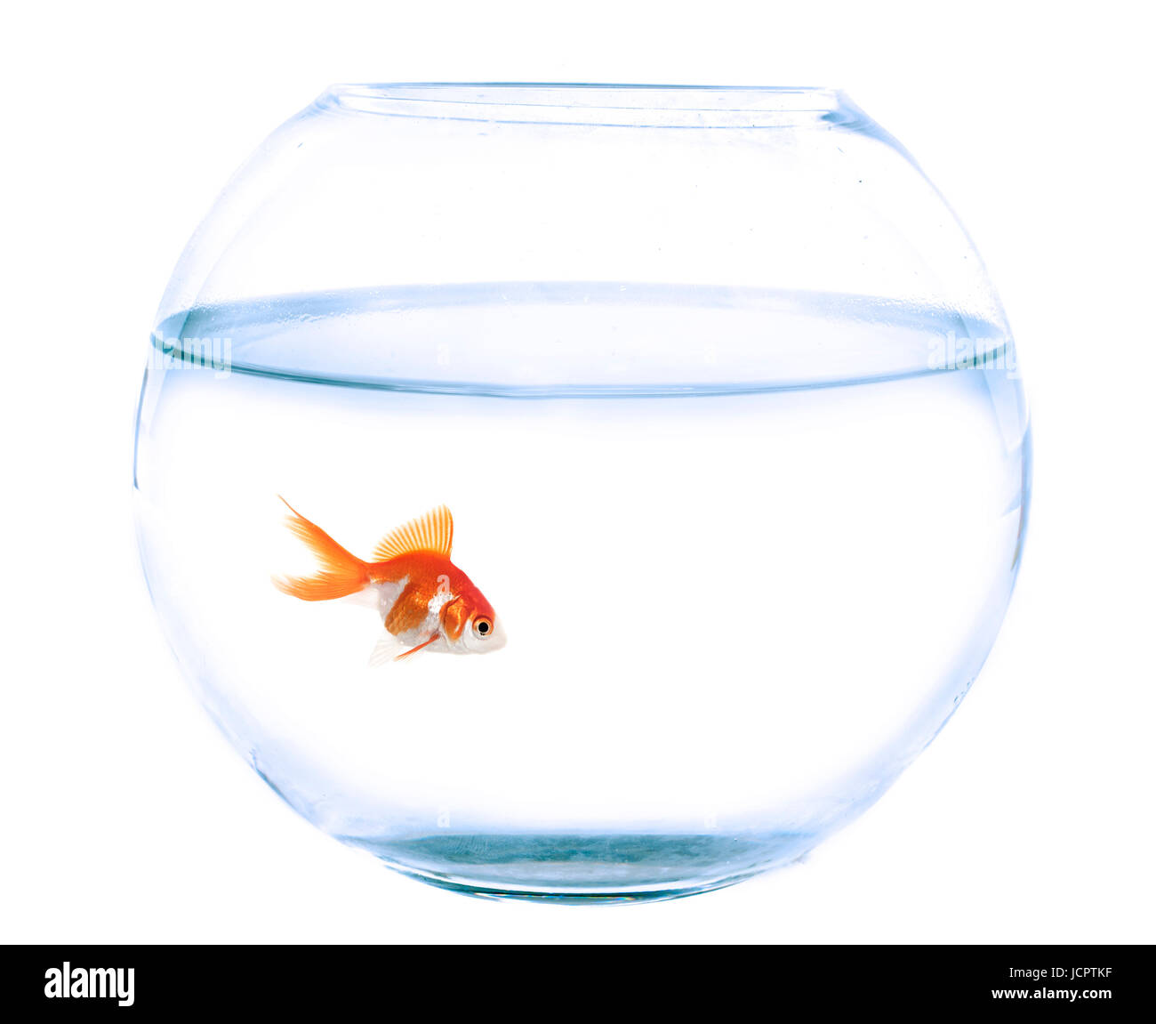 Empty Fish Tank With Water