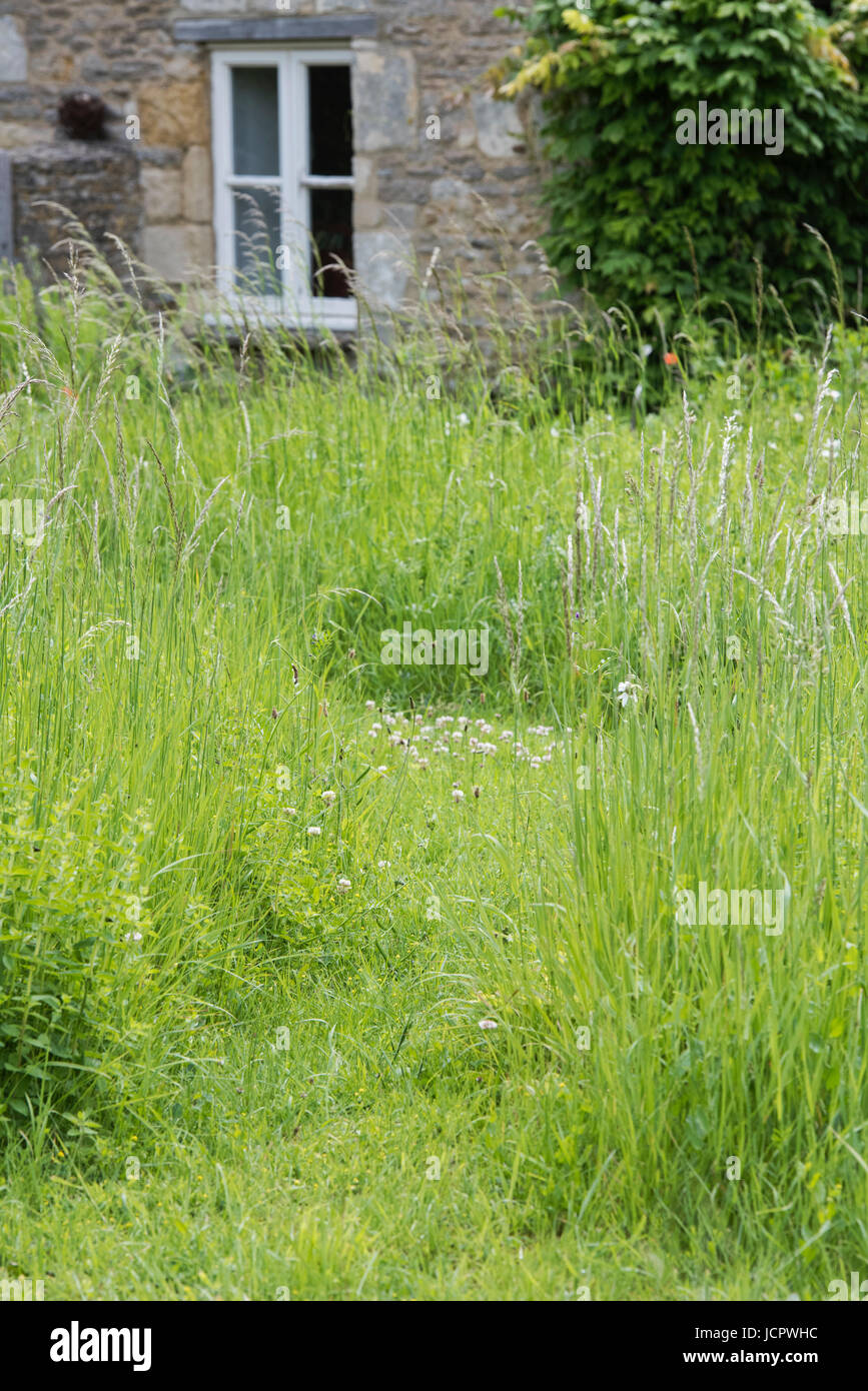 Mown path through cottage garden. Filkins, Cotswolds, Oxfordshire, UK