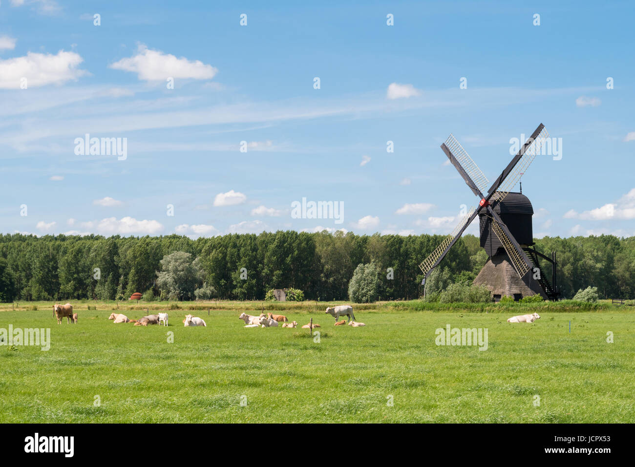 Polder landscape with hollow post windmill near Almkerk, Brabant, Netherlands Stock Photo