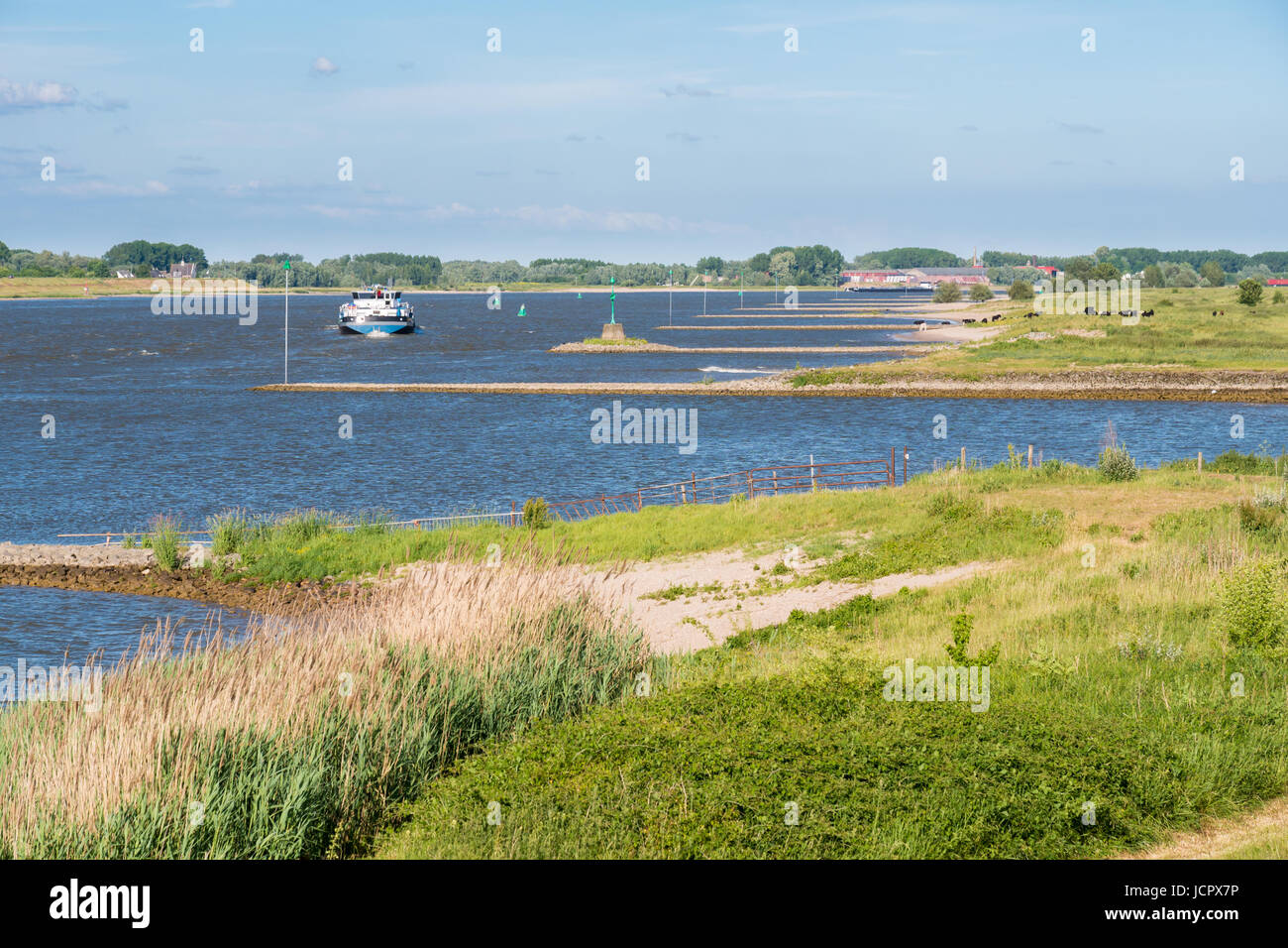 Inland ship or barge sailing upstream along forelands and groynes of river Waal near Zuilichem, Bommelerwaard, Gelderland, Netherlands Stock Photo