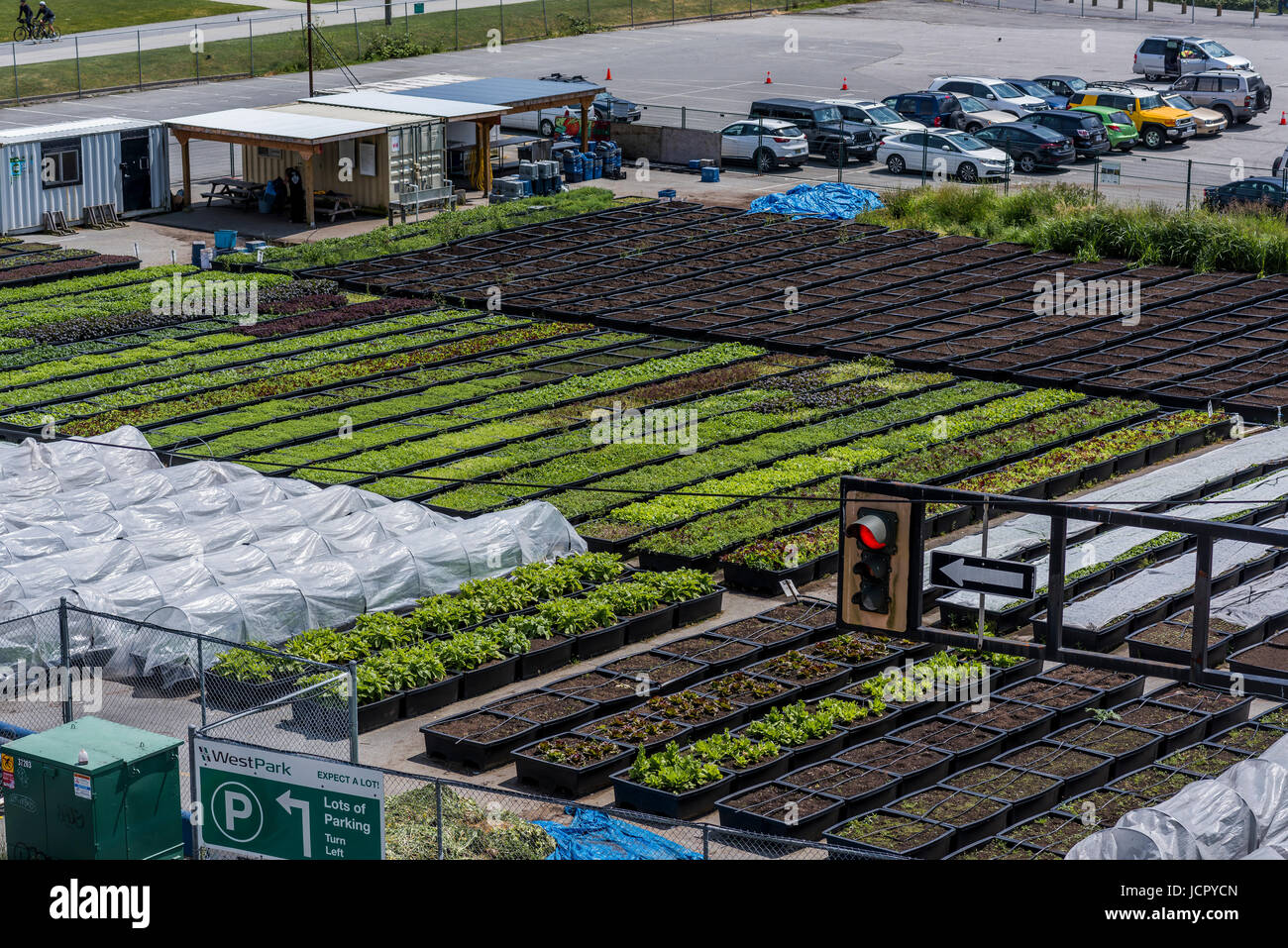 Sole Food Street Farms transforms vacant urban land into areas that