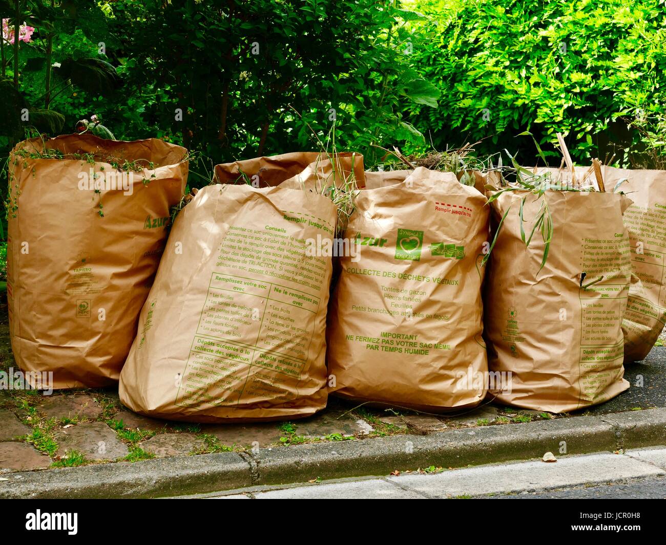 https://c8.alamy.com/comp/JCR0H8/paper-sacks-full-or-grass-and-yard-clippings-left-at-the-curb-for-JCR0H8.jpg