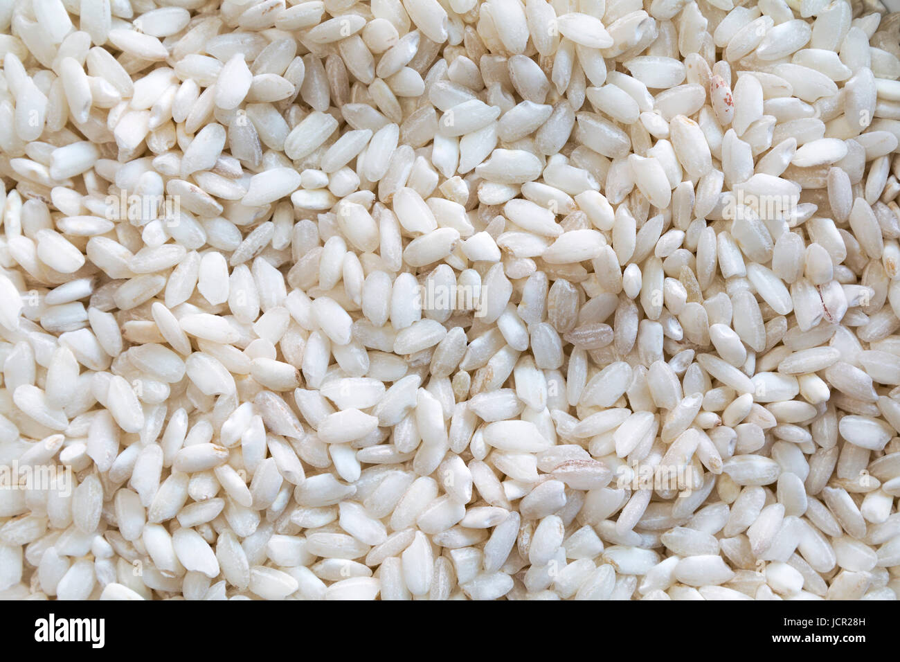 Arborio risotto rice raw close up from an overhead perspective Stock ...