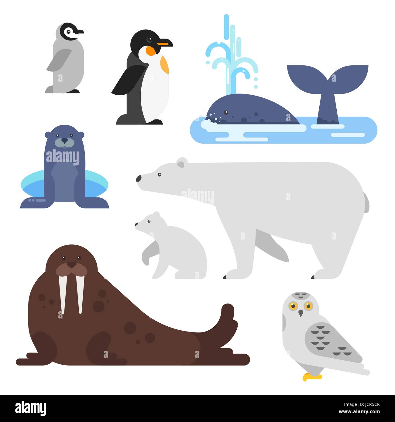 Vector flat style set of arctic animal. Walrus, whale, penguin, bear. Isolated on white background Stock Vector Image & Art - Alamy Vector flat style set of arctic animal. Walrus, whale, penguin, bear. Isolated on white background Stock Vector Image & Art - Alamy