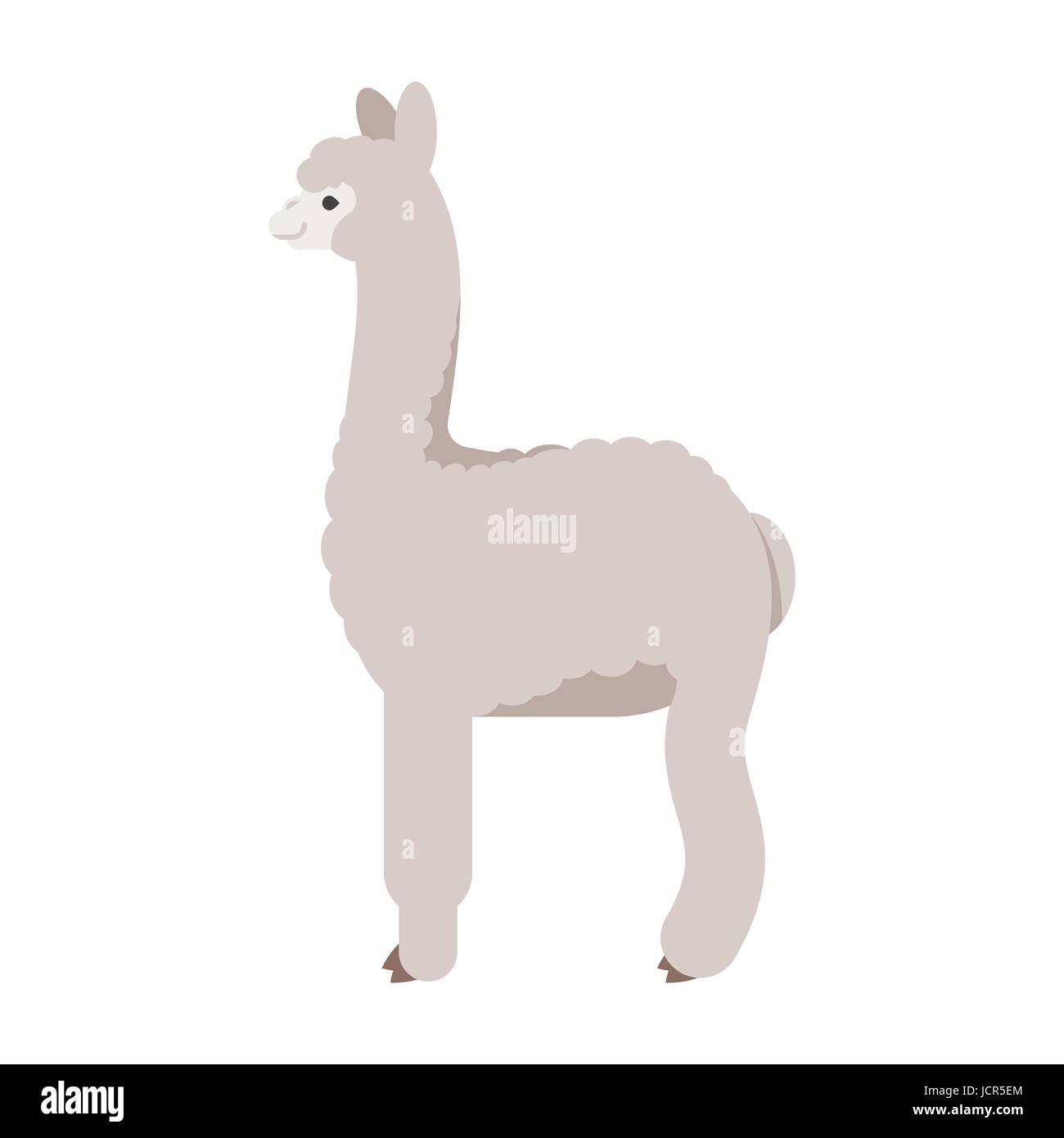 Vector flat style illustration of lama. Icon for web. Isolated on white