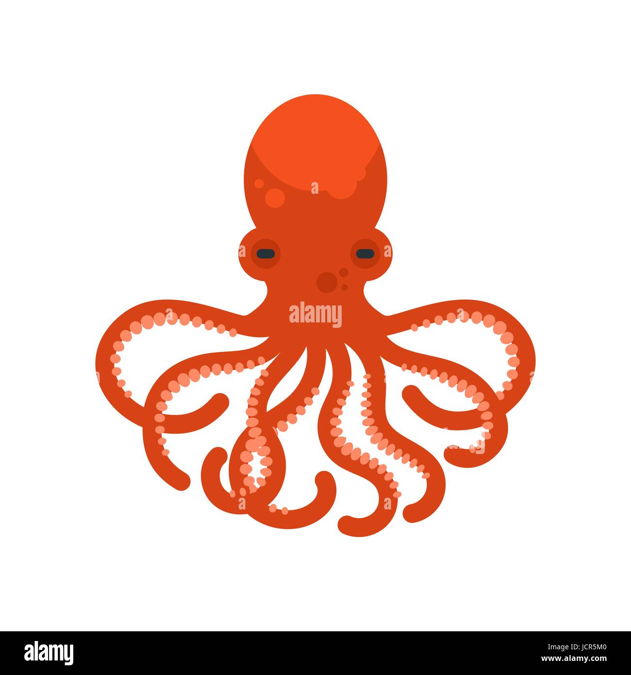 Octopus web hi-res stock photography and images - Alamy