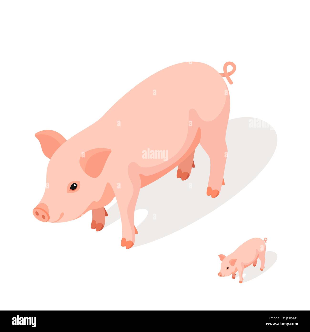 Свинья большой маленький. Большая и маленькая свинья. Поросенок клипарт на прозрачном фоне. Маленький и большой поросенок. Свиньи большие маленькие.