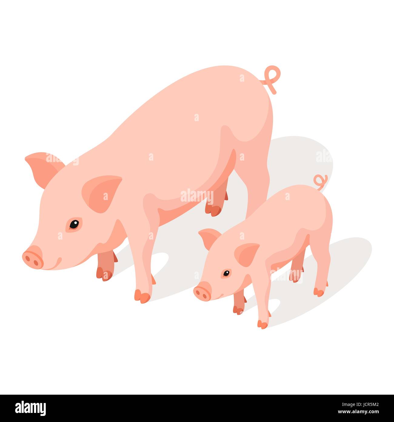 Isometric 3d vector illustration of small and large pig isolated on ...