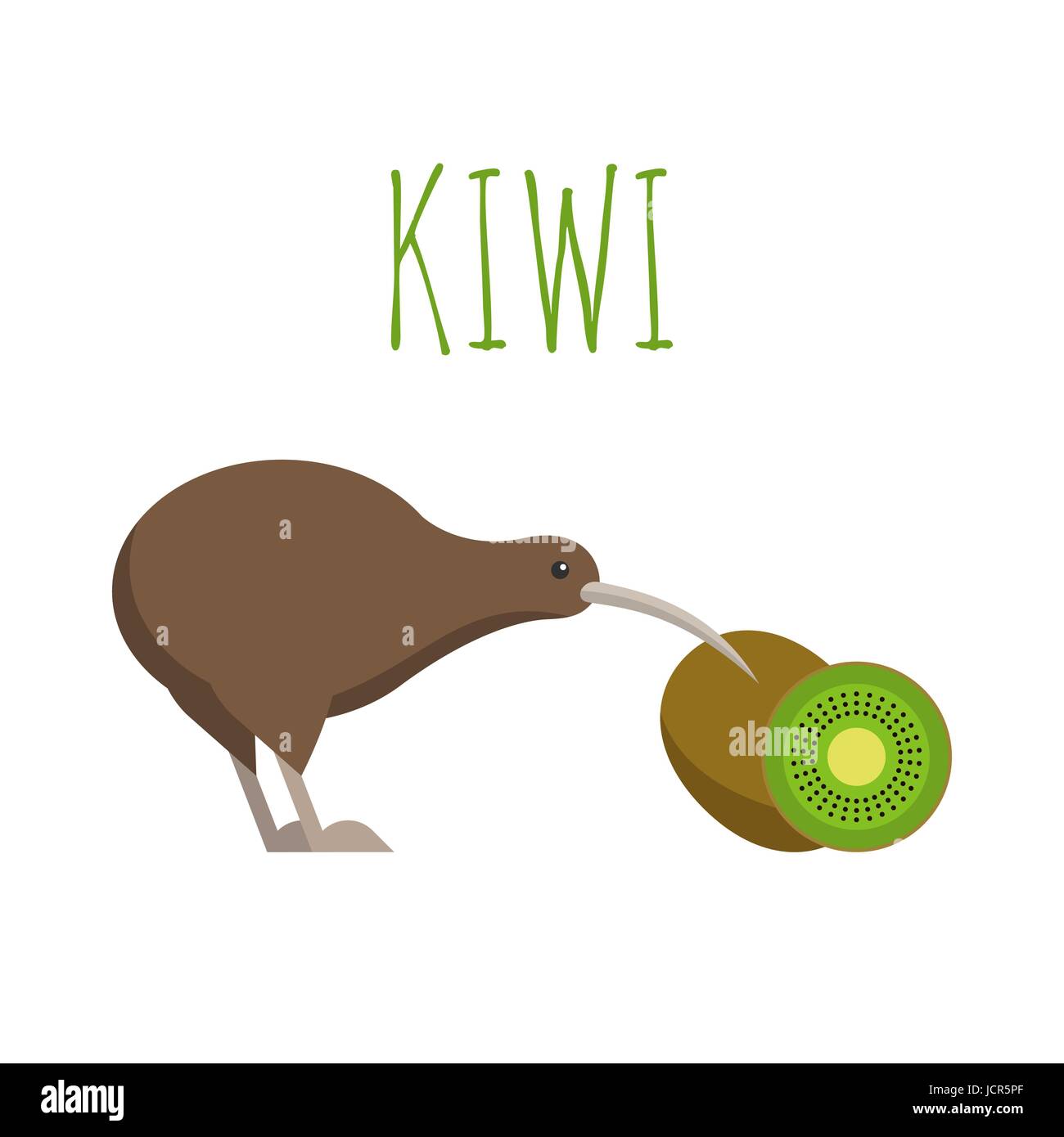 Vector illustration of kiwi bird and kiwi fruit Stock Vector Image & Art -  Alamy