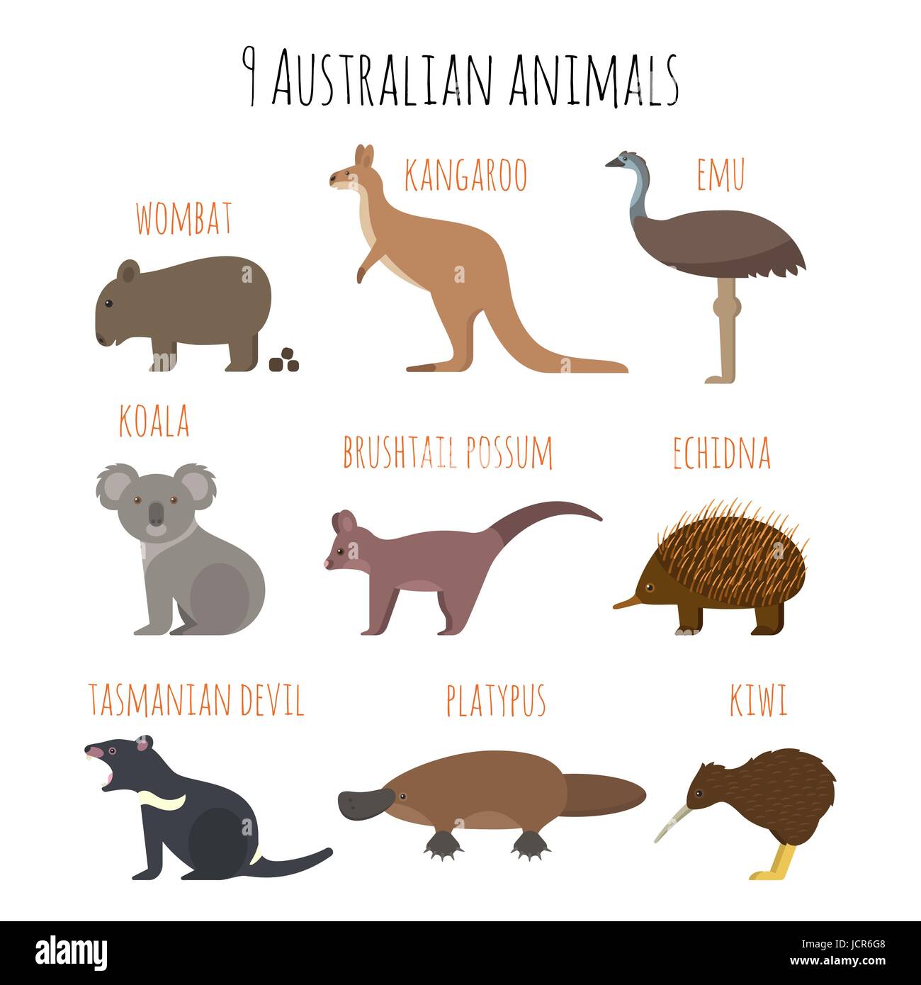 Vector set of Australian animals icons. Emu, wombat, kiwi, koala, kangaroo.  Flat style Stock Vector Image & Art - Alamy