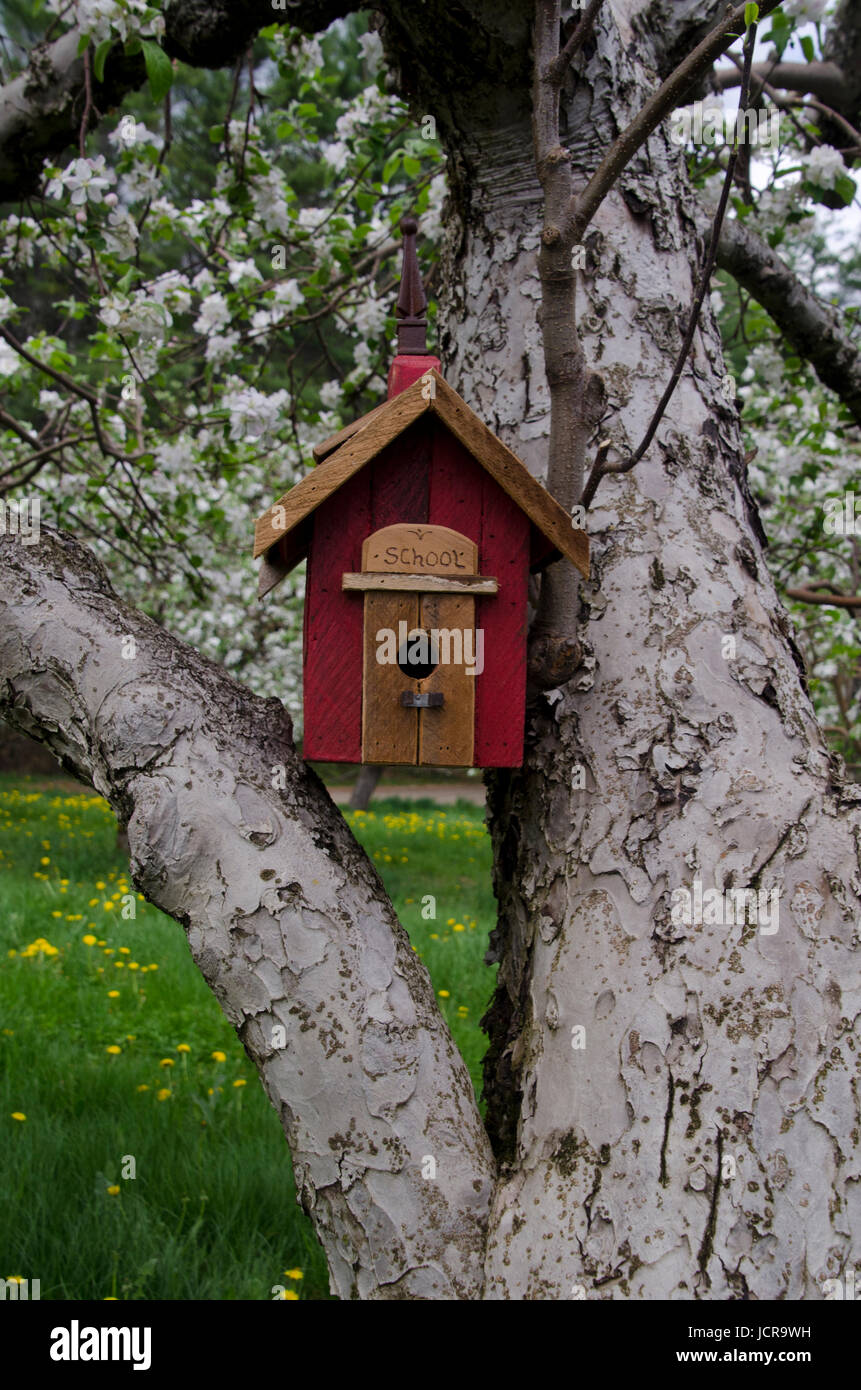 Red birdhouse in blooming orchard, Yarmouth, Maine Stock Photo Alamy