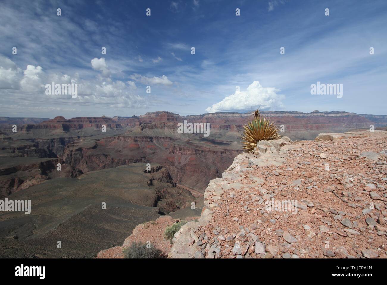Skeleton Point, Grand Canyon National Park, Arizona, USA Stock Photo