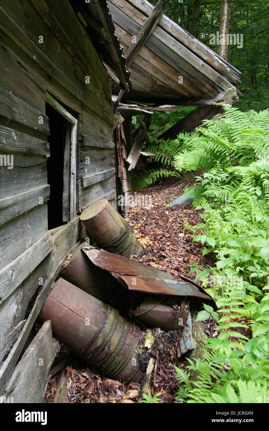 Old sugar house in the woods. Abandoned sugar shack in the forest. Stock Photo