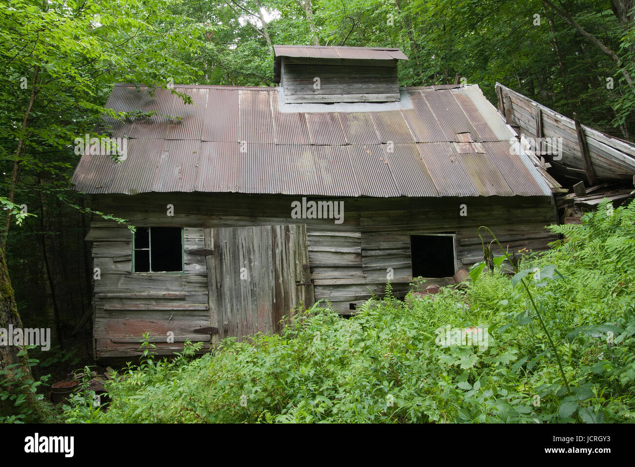 Old sugar house in the woods. Abandoned sugar shack in the forest Stock Photo Alamy