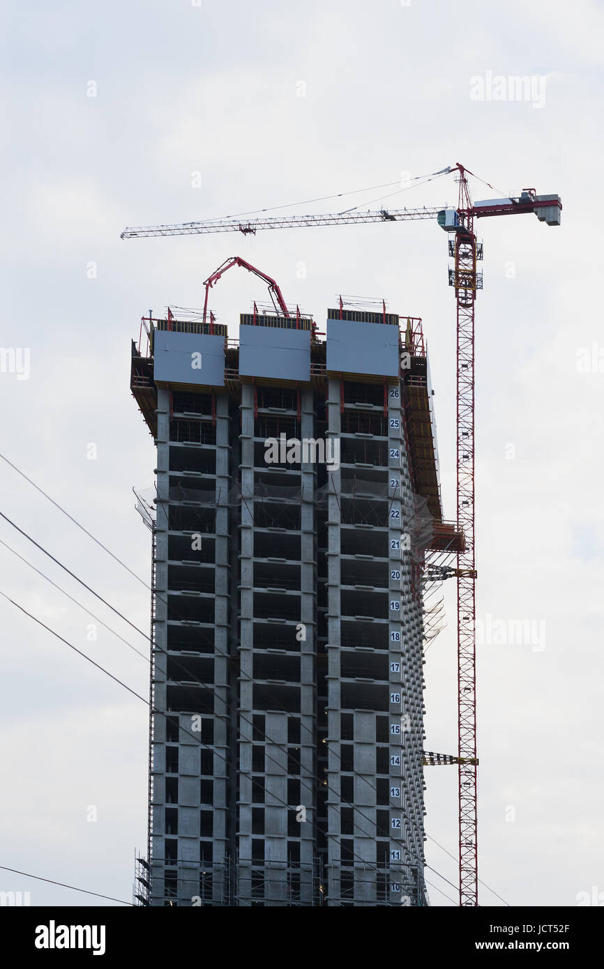 How much can a tower crane lift nativestart