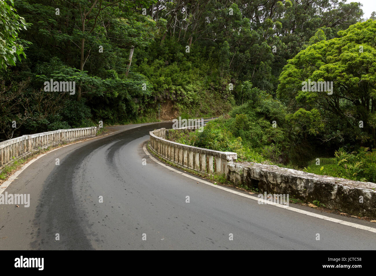 One of the many curves in the road on the Hana Highway. Stock Photo