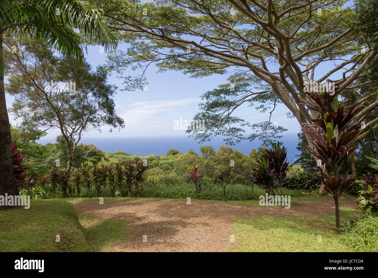 Scenic view from garden on the road to Hana. Stock Photo