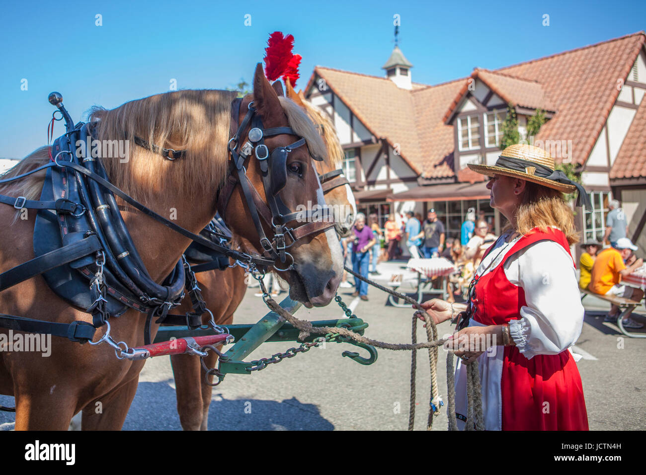 wagon horses, Solvang Danish Days, Solvang, California Stock Photo Alamy