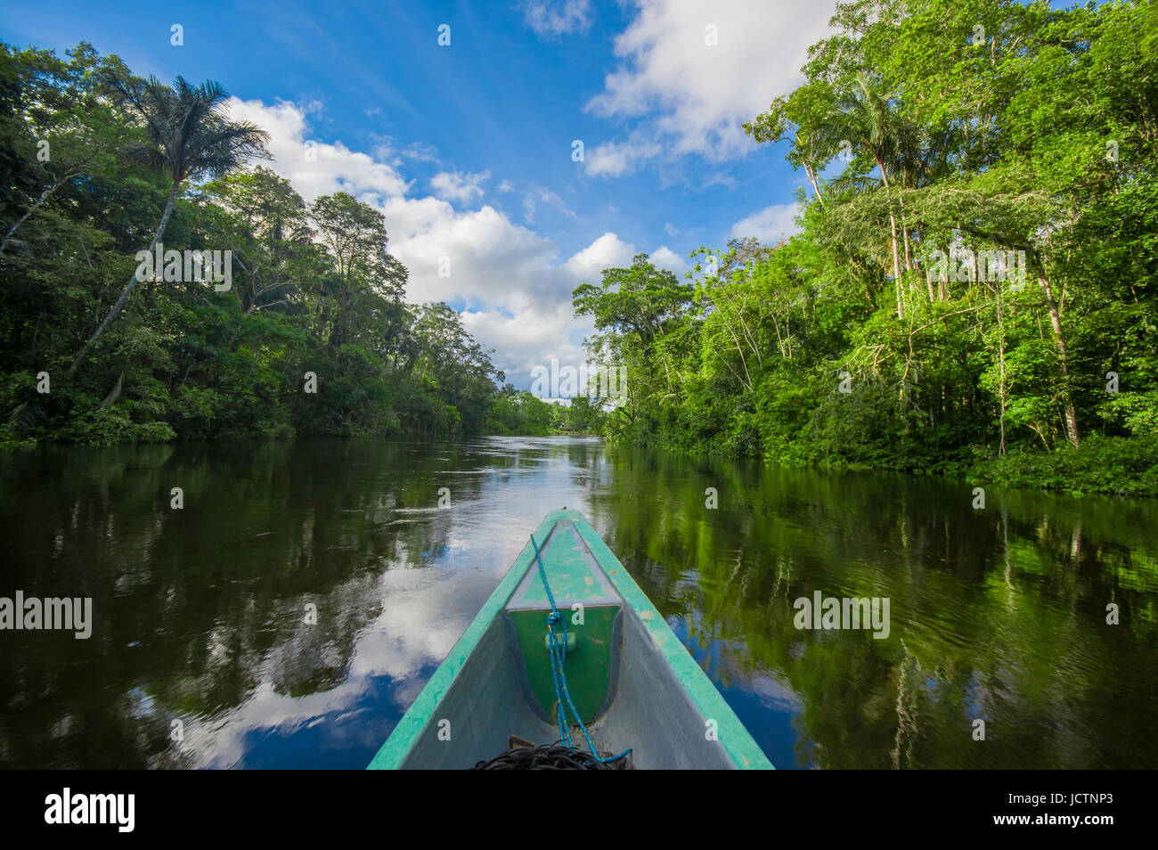 Travelling by boat into the depth of Amazon Jungles in Cuyabeno ...