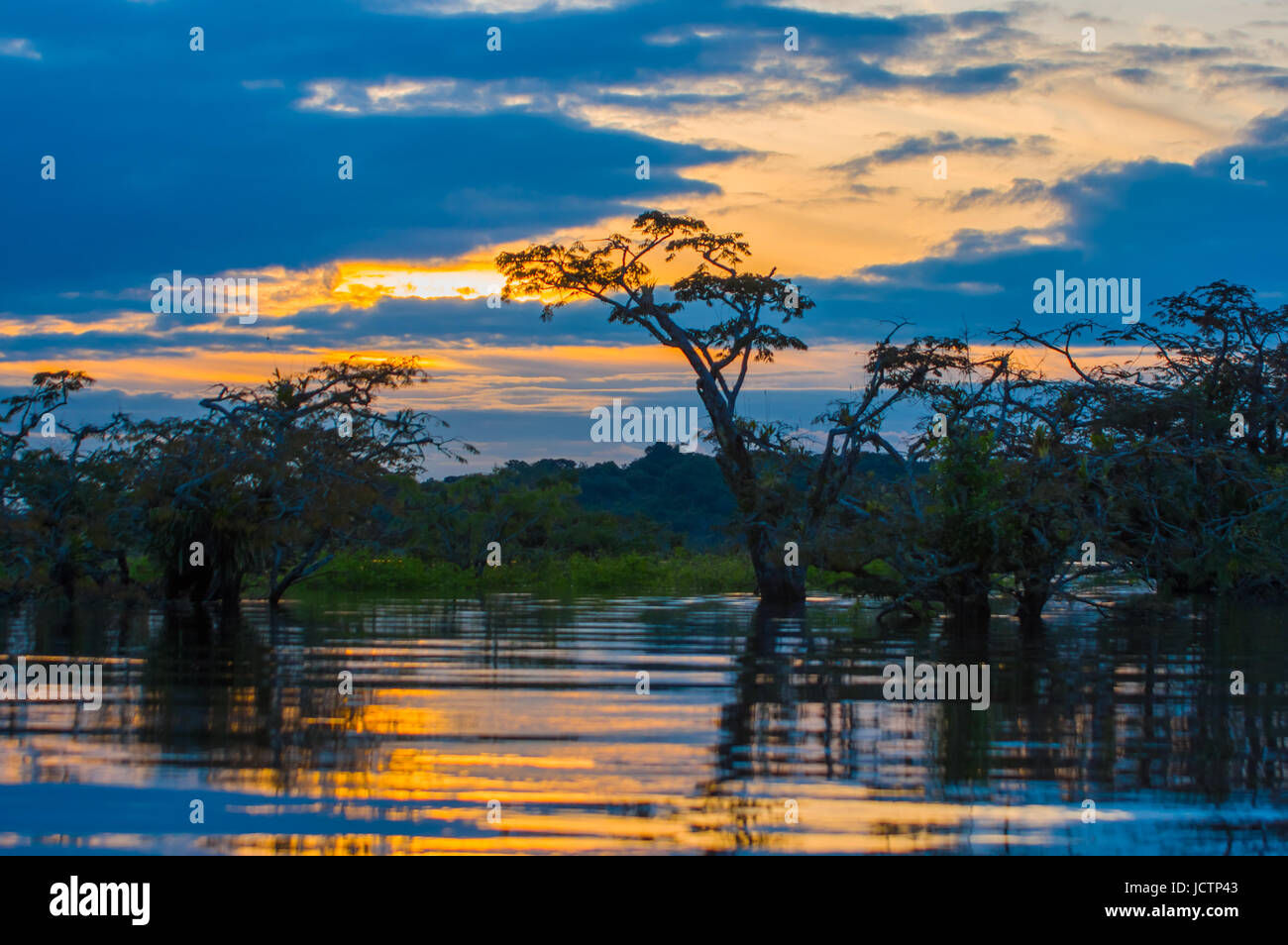 Sunset silhouetting a flooded jungle in Laguna Grande, in the Cuyabeno Wildlife Reserve, Amazon Basin, Ecuador. Stock Photo