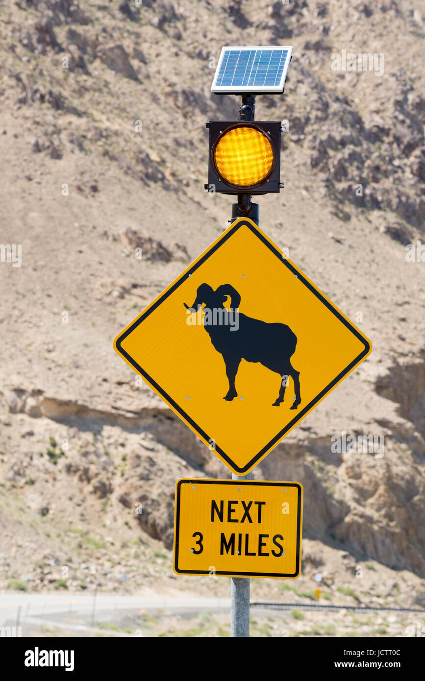Solar powered wildlife warning sign on U.S. Highway 95 in Nevada. Stock Photo