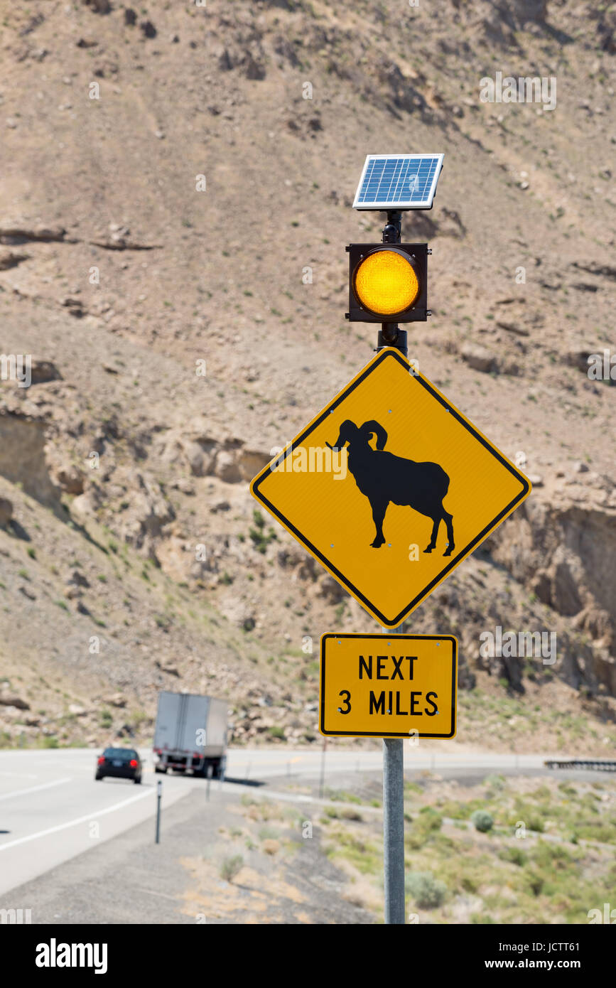 Solar powered wildlife warning sign on U.S. Highway 95 in Nevada. Stock Photo