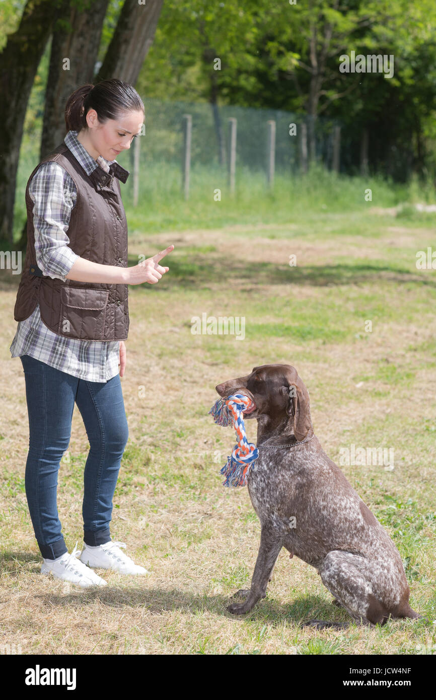 breeder training dog Stock Photo Alamy