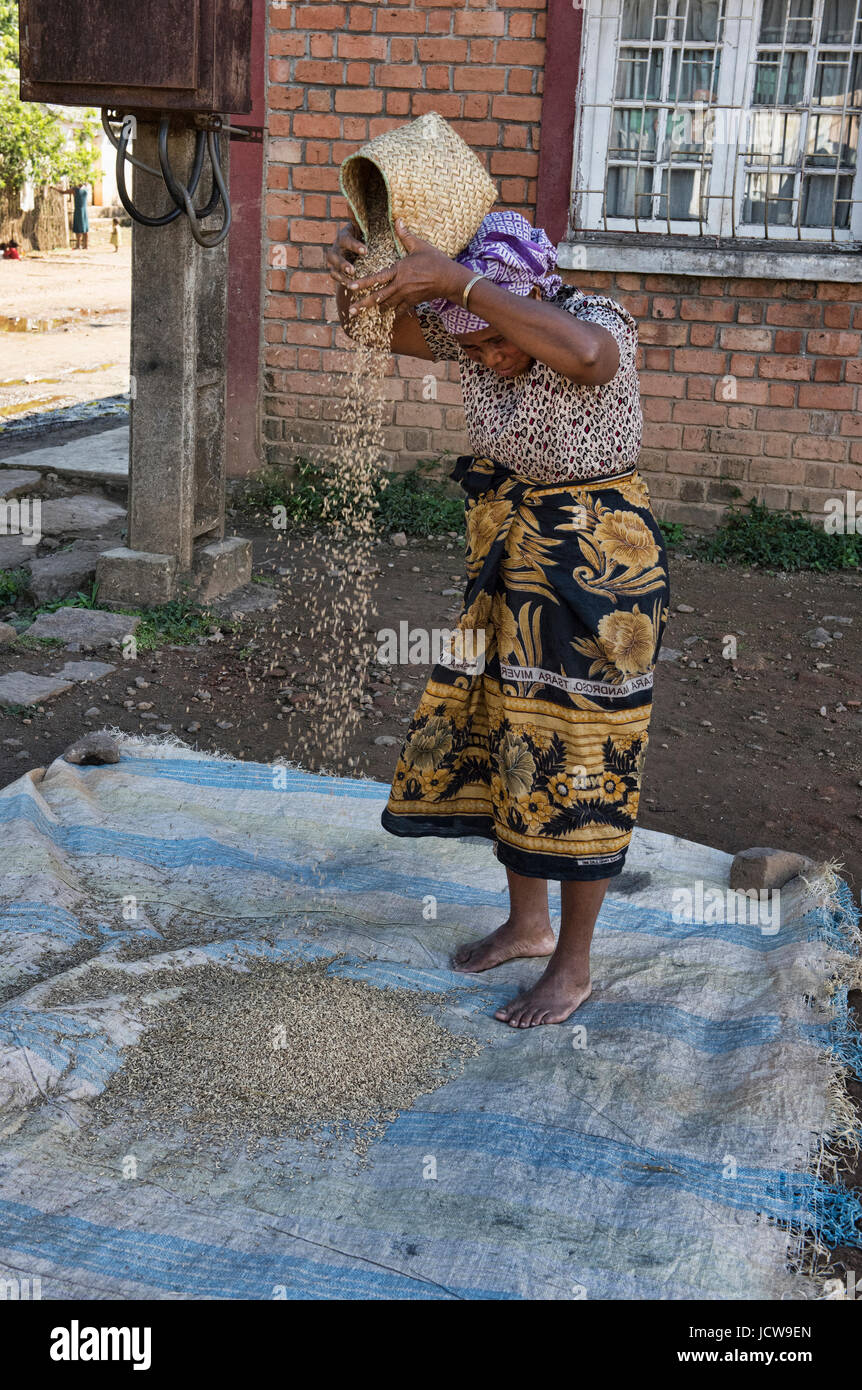 An old woman milling rice in Andasibe, Madagascar Stock Photo