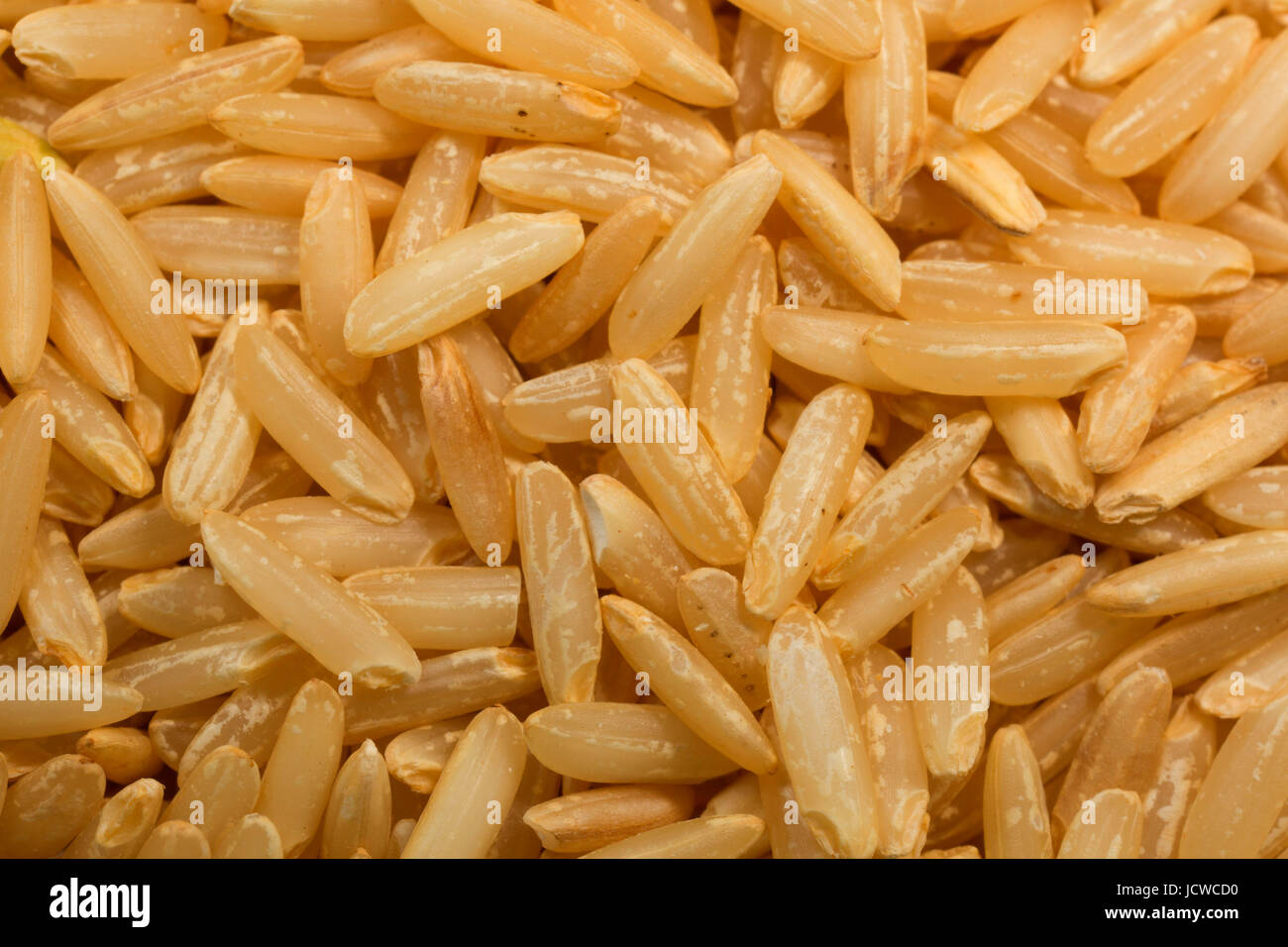 Rice Stock Photo